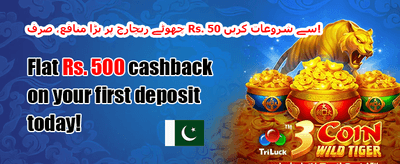 وی آئی پی ریوارڈز 💎 promotion image